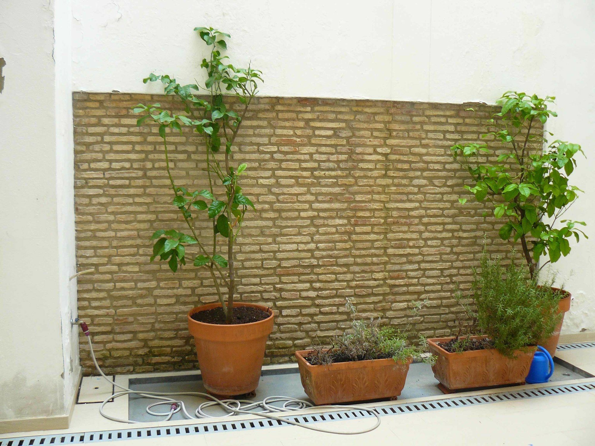 Alfaqueque Apartment Séville Extérieur photo